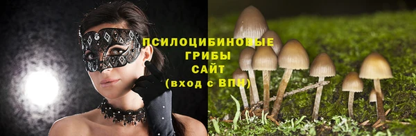 гидра Михайлов