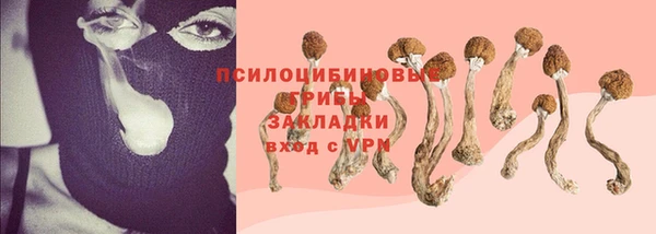 mdpv Михайловск