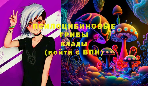 ГАЛЛЮЦИНОГЕННЫЕ ГРИБЫ Медвежьегорск